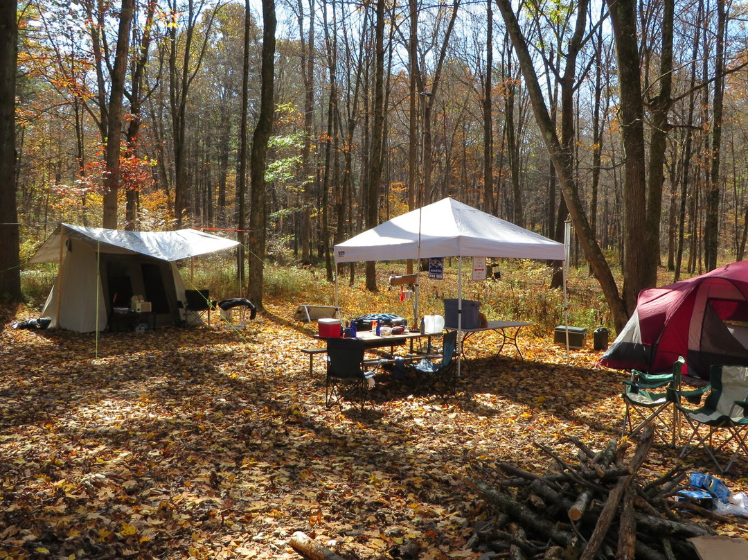 Green Ridge State Forest-Flintstone必去景点