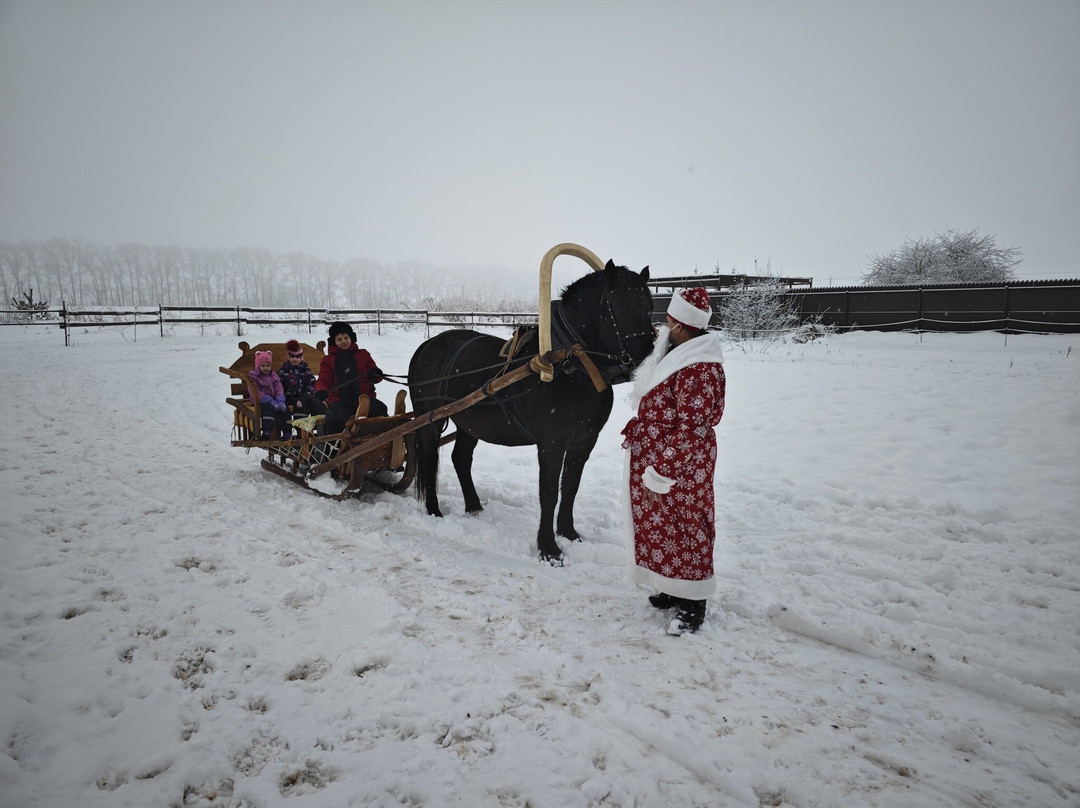 Konniy Dvor Guest House主图