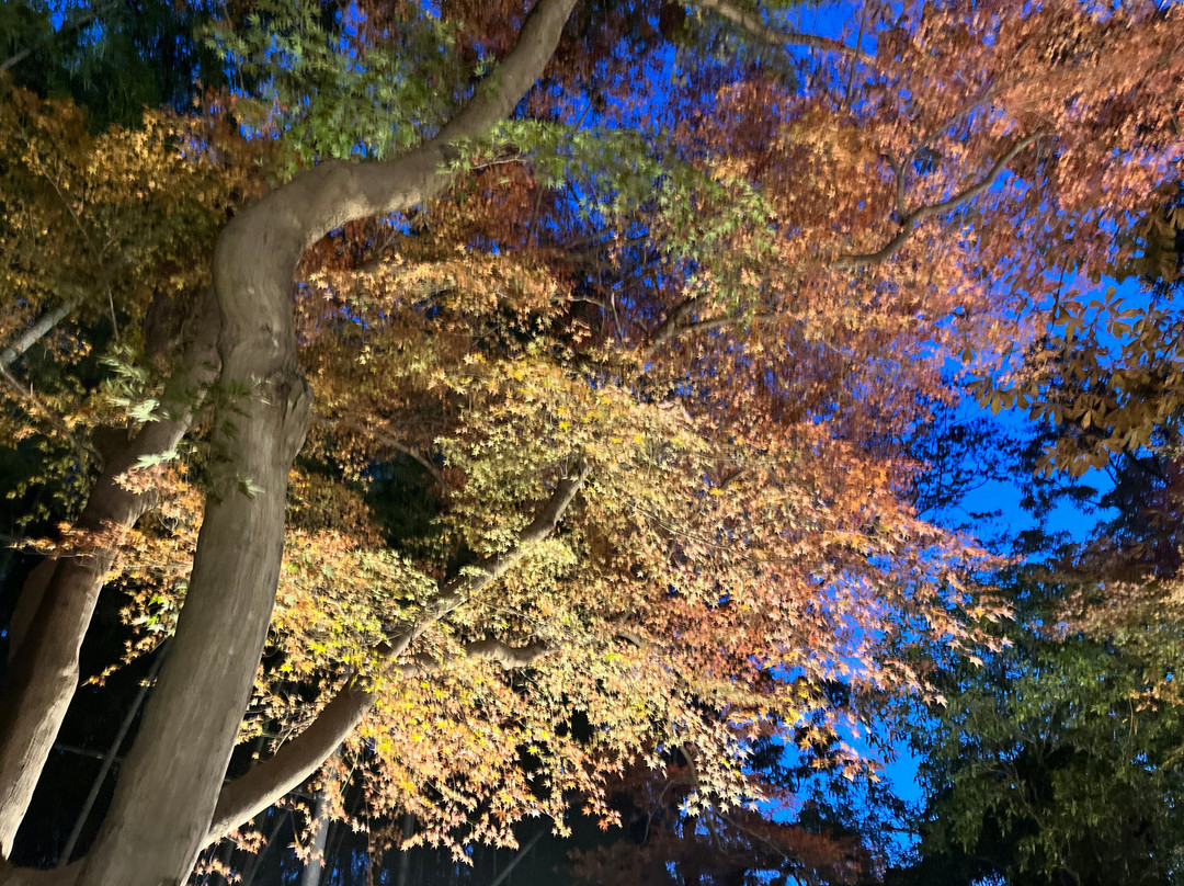 Suzumenomiya Park-寄居町必去景点