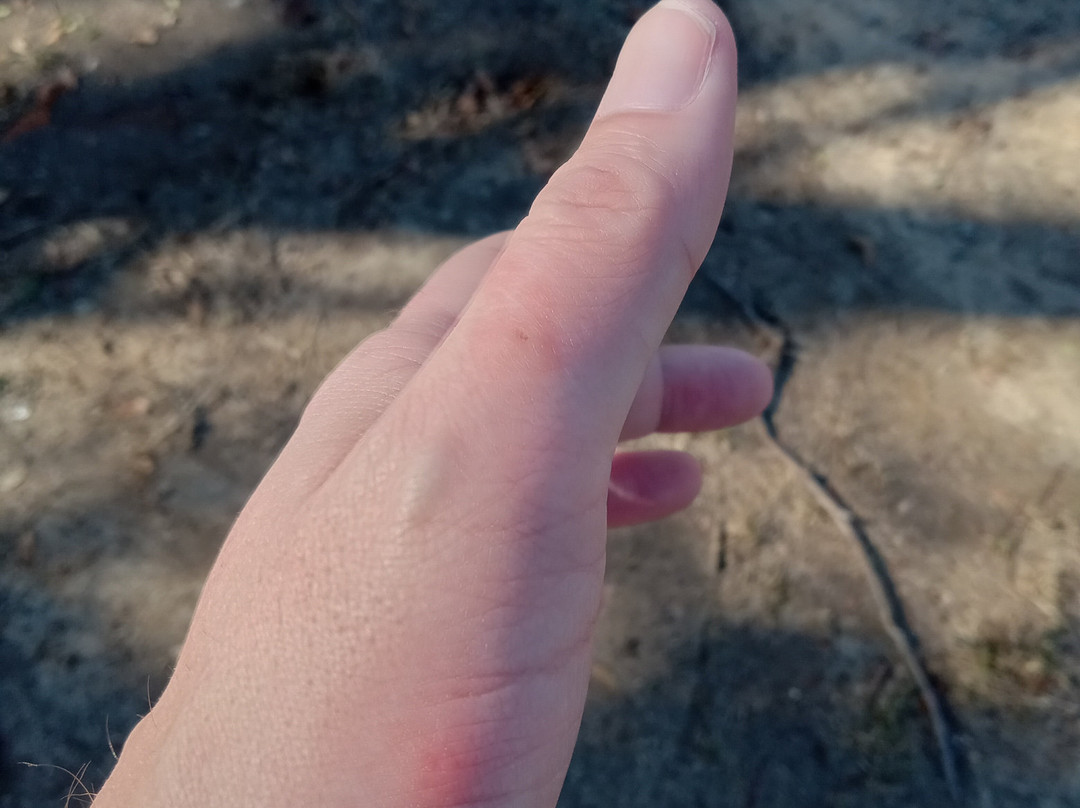 Red Roof Inn Greenville, Nc主图