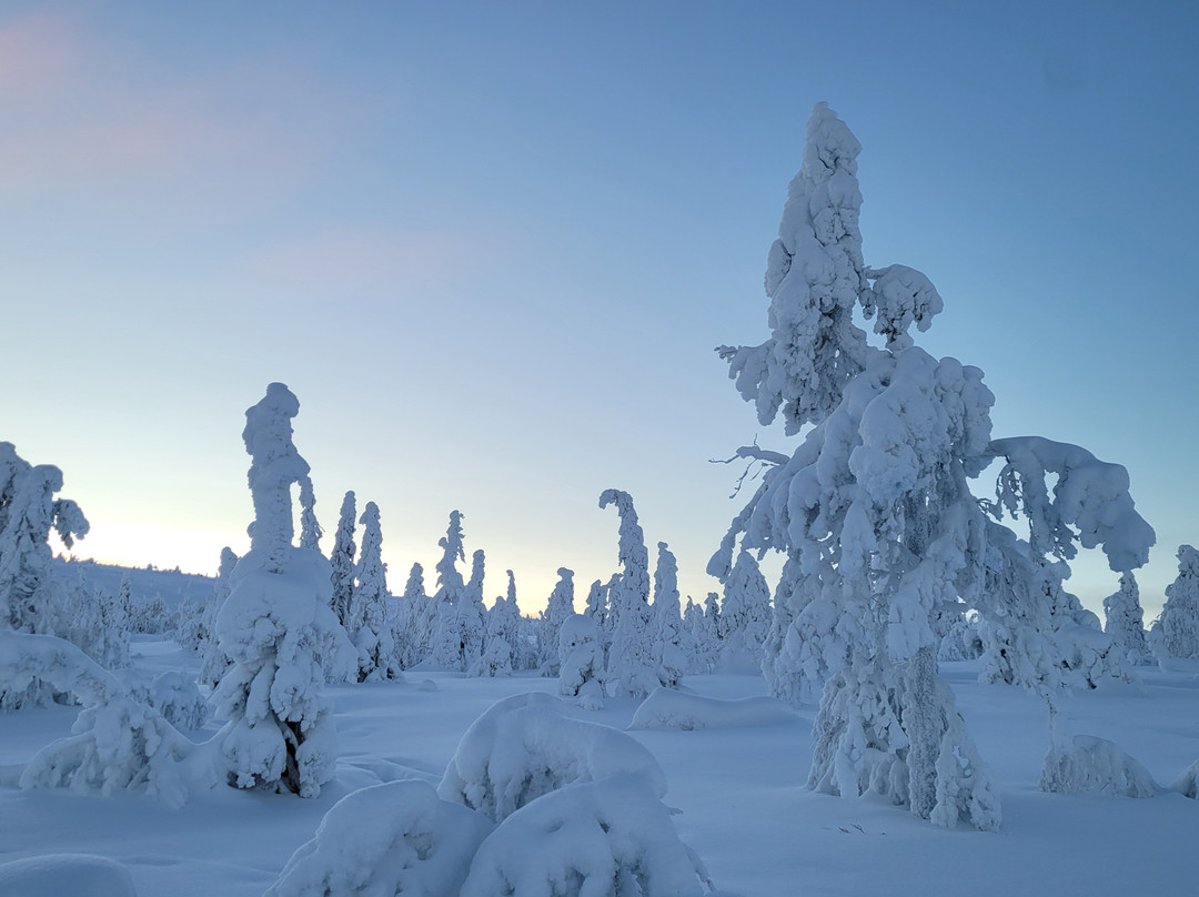 Wild About Lapland-罗瓦涅米必去景点
