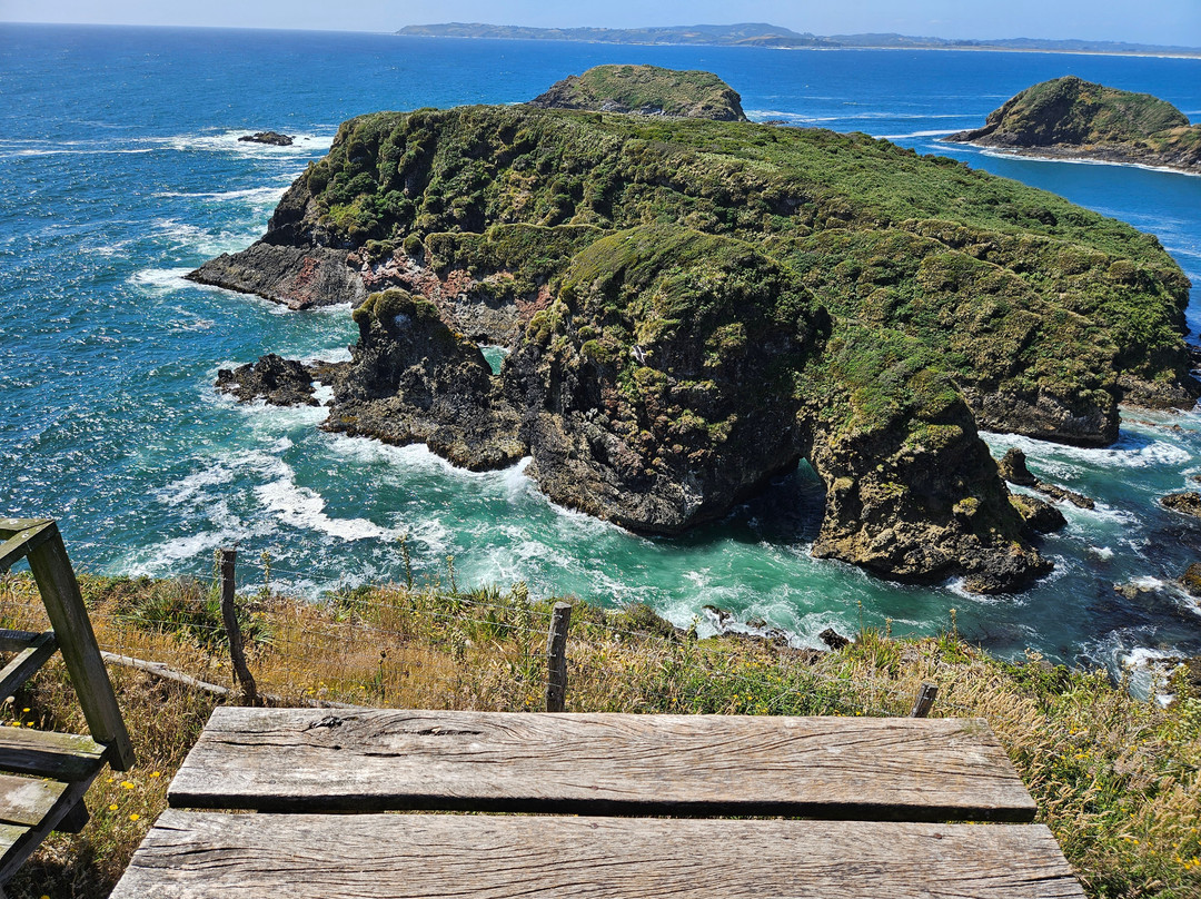 Muelle de las Almas-Cucao必去景点