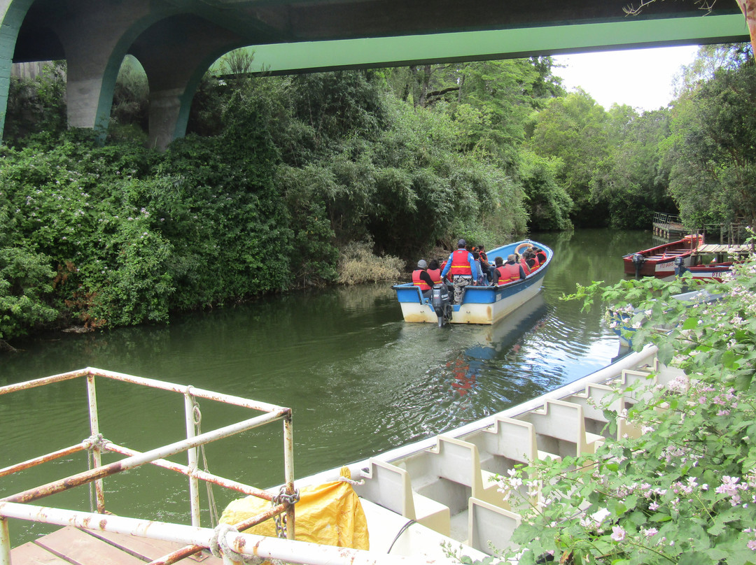 Isla Loreley-巴拉斯港必去景点