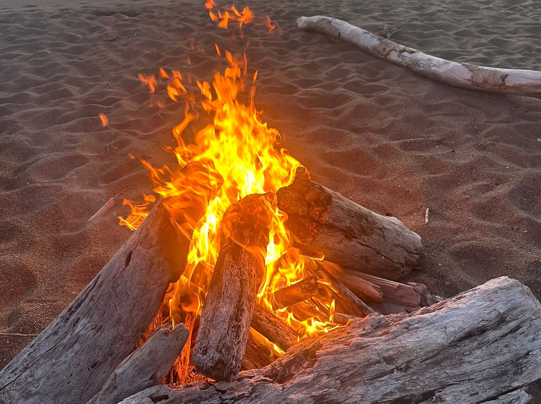 Cabinas Corozalito主图