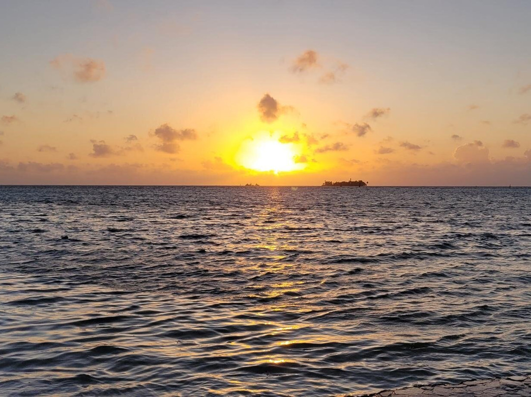 Decameron Marazul主图