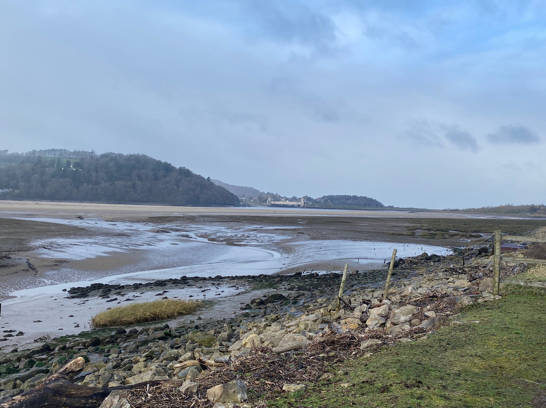 RSPB Conwy Nature Reserve景点图片