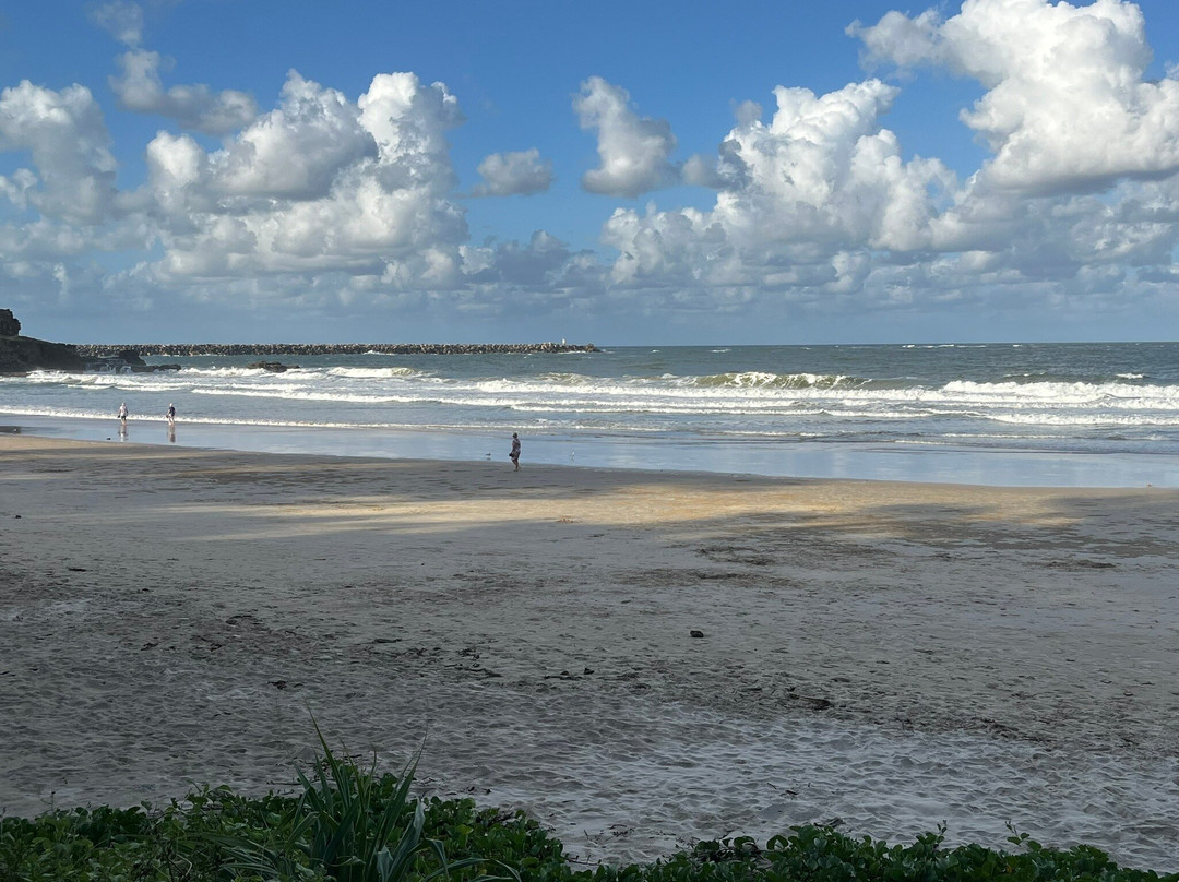 The Cove Yamba主图