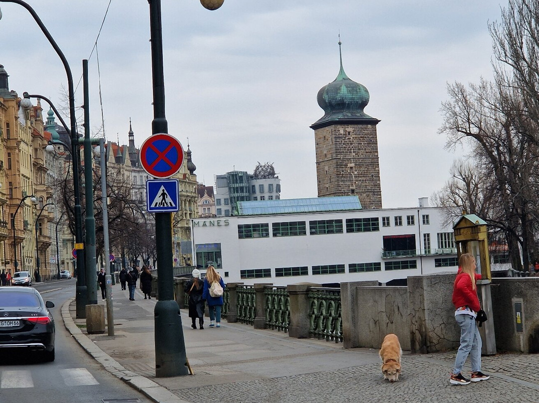 Šítkov Water Tower & Manes Gallery景点图片