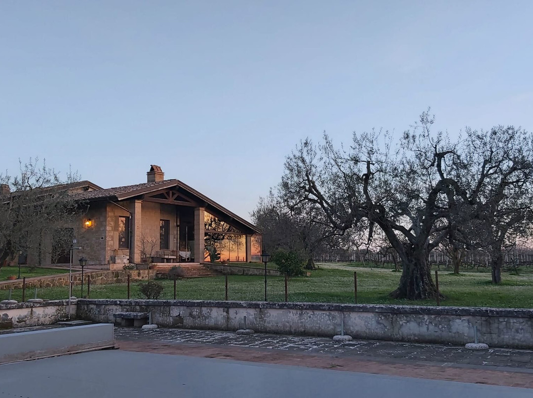 Villa Vacasio Bio-Eco主图