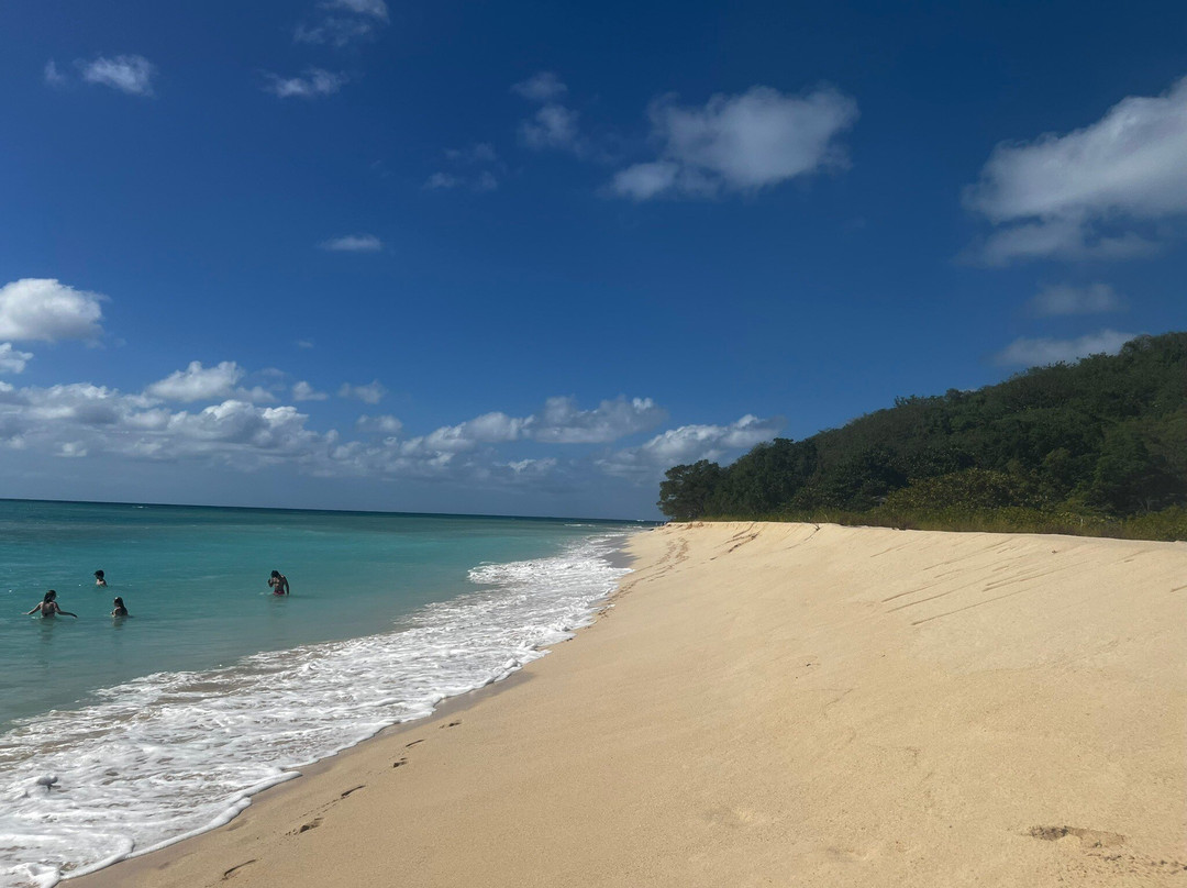 Buck Island Cove-圣克鲁斯必去景点