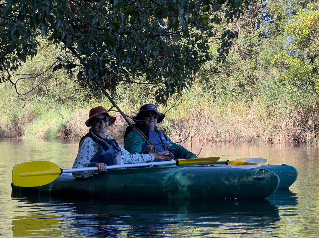 Bellingen Canoe Adventures景点图片