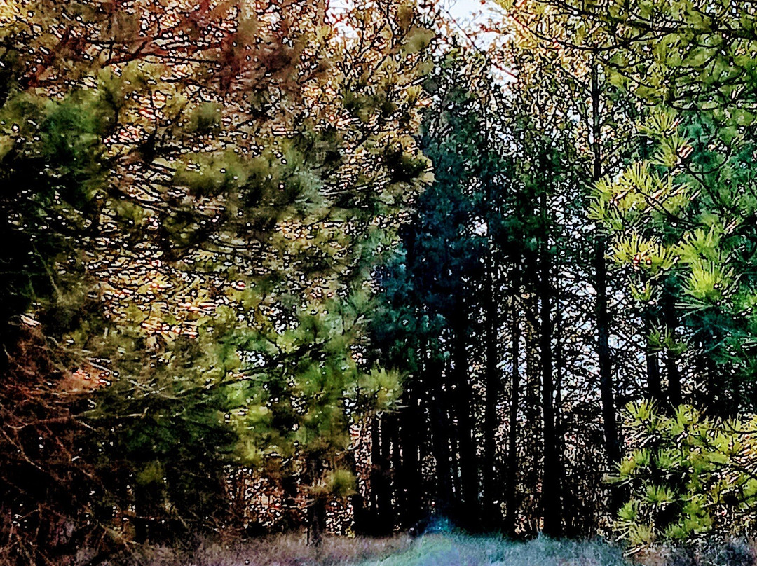 Spokane River Centennial Trail Mirabeau Park-斯波坎谷必去景点