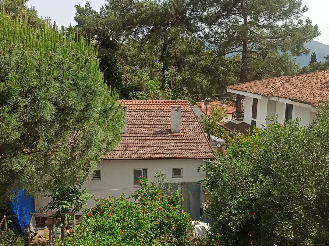 Liya Boutique Hotel & Suites主图