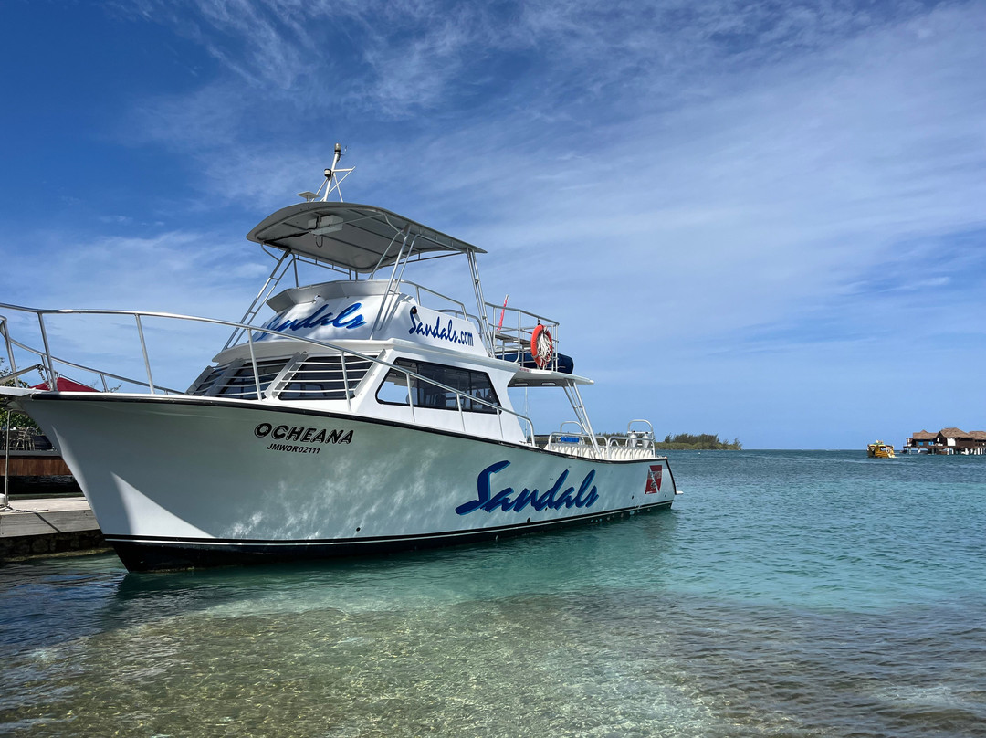 桑德尔斯皇家加勒比海及私人岛屿全包酒店