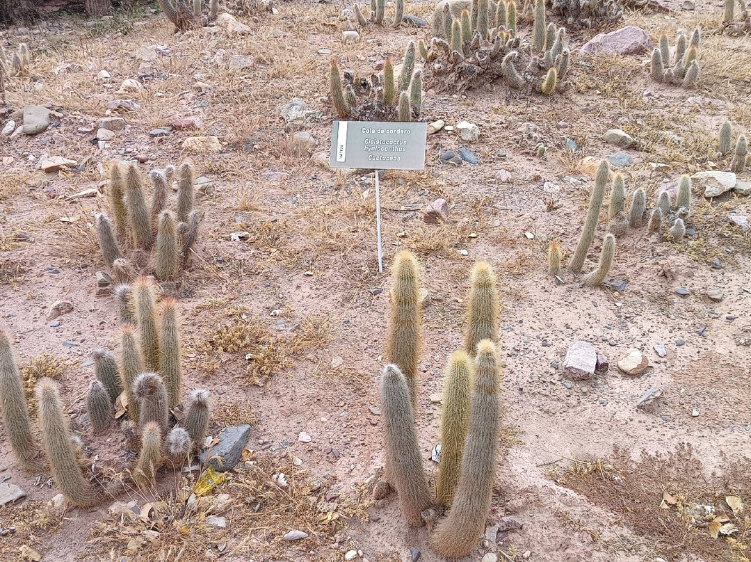 Jardin Botanico de Altura-蒂尔卡拉必去景点