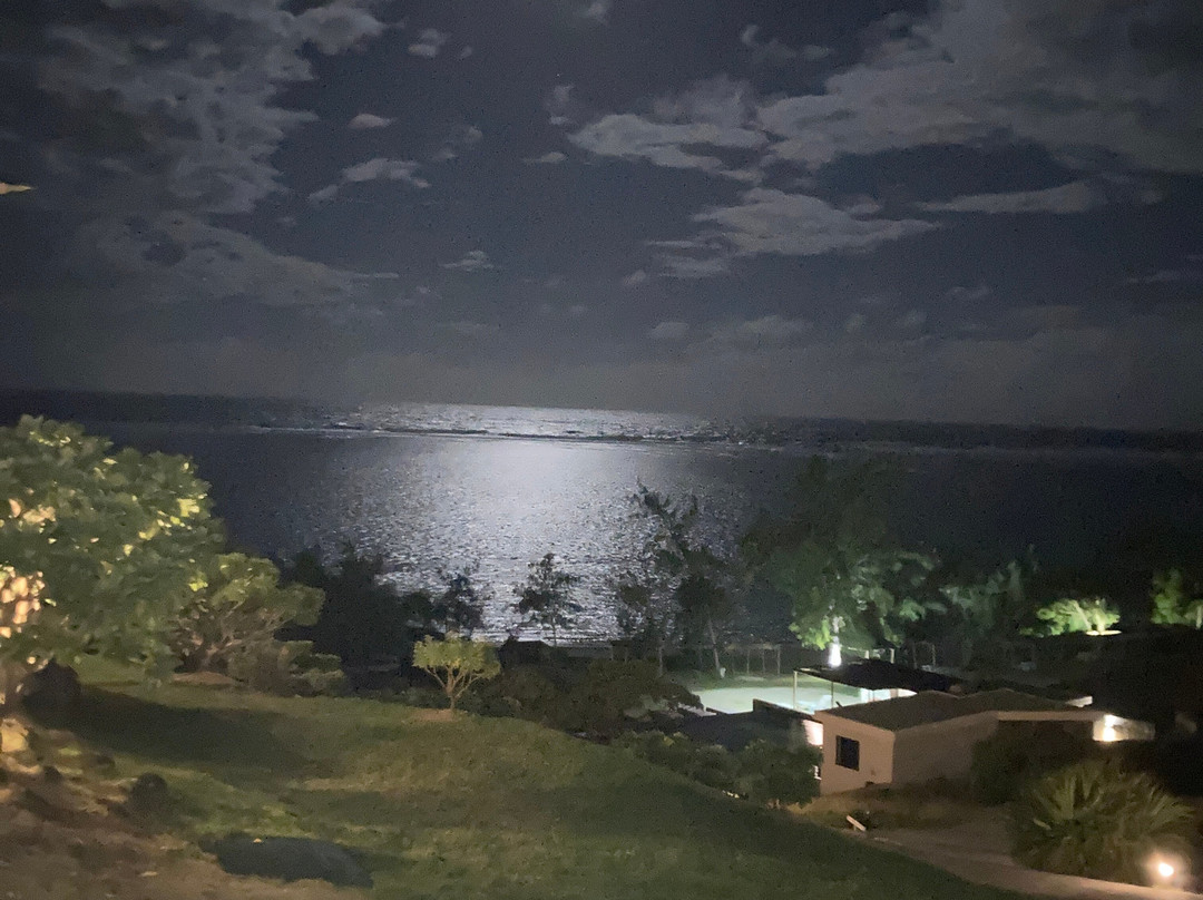 Constance Tekoma主图