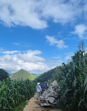JPTraveltime-岘港必去景点