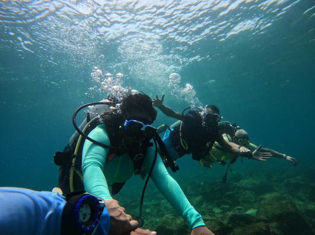 Paradise Blue Center-迪拜必去景点