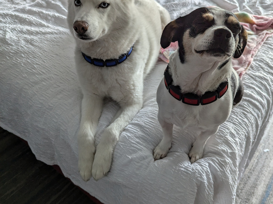 Hampton Inn & Suites Cincinnati Liberty Township主图