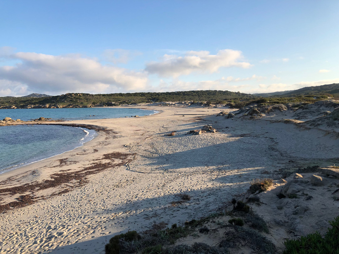 Spiaggia di Rena Majore della Nurra-萨萨里省必去景点