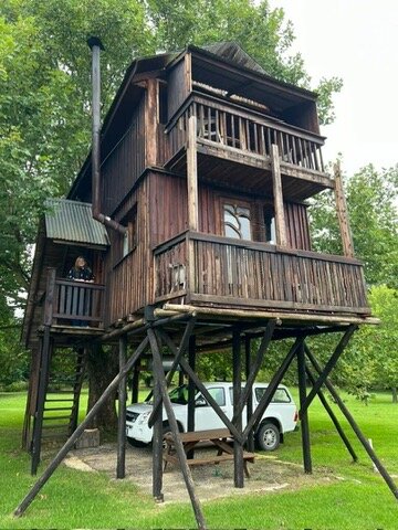 Sycamore Avenue Treehouses-官方