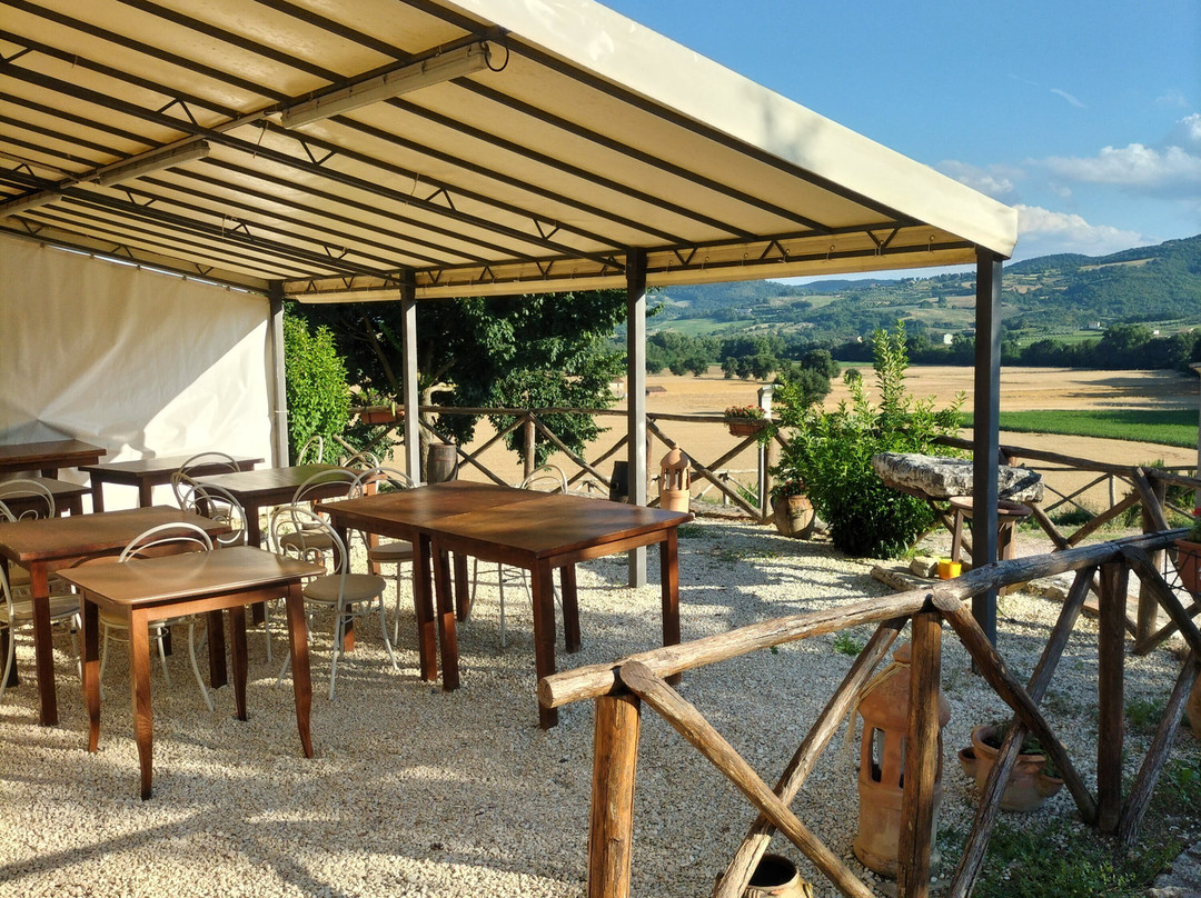 Agriturismo San Silvestro主图
