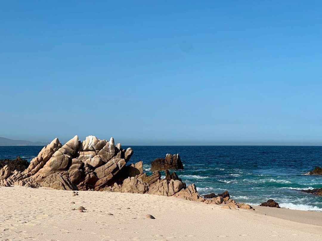 Cabo Shuttle Services景点图片