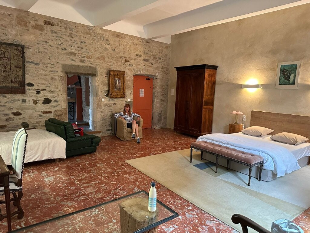 Lespinassiere酒店住宿-Hotel d'Alibert