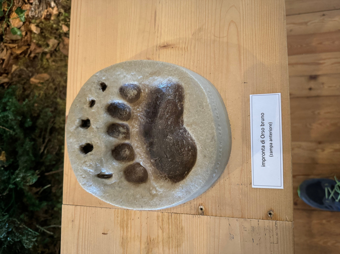 Centro Documentazione Luserna-Luserna必去景点