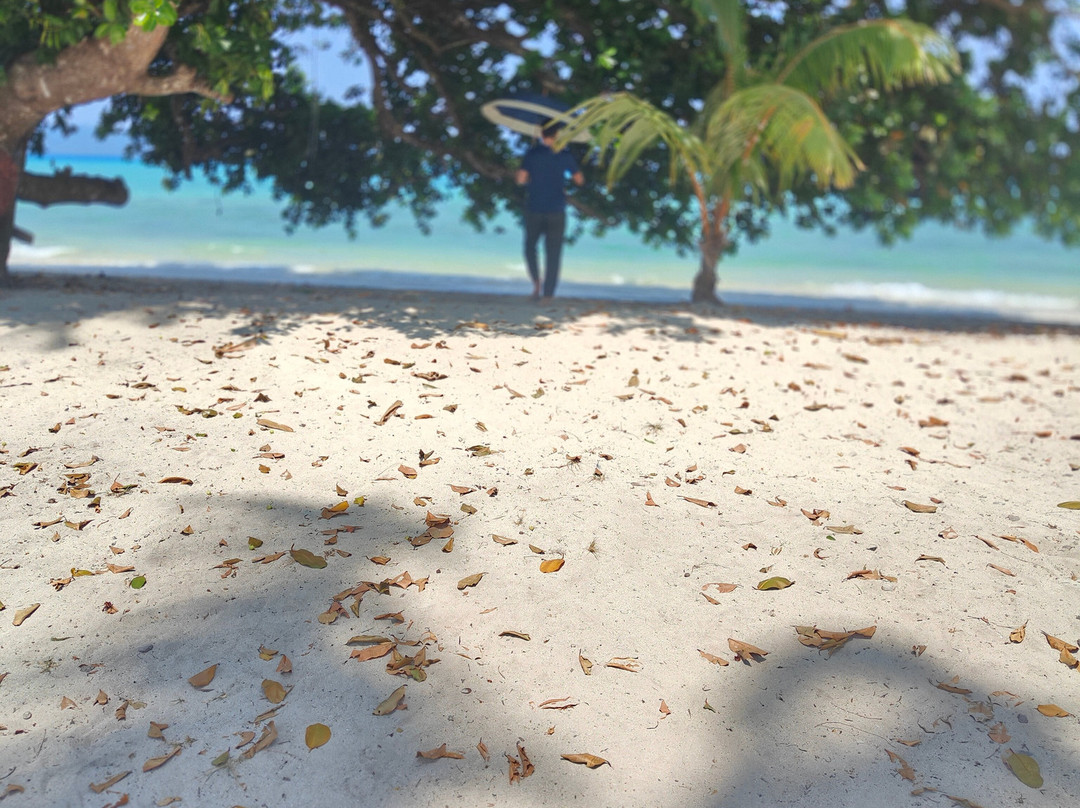 Dekho Andaman-布莱尔港必去景点