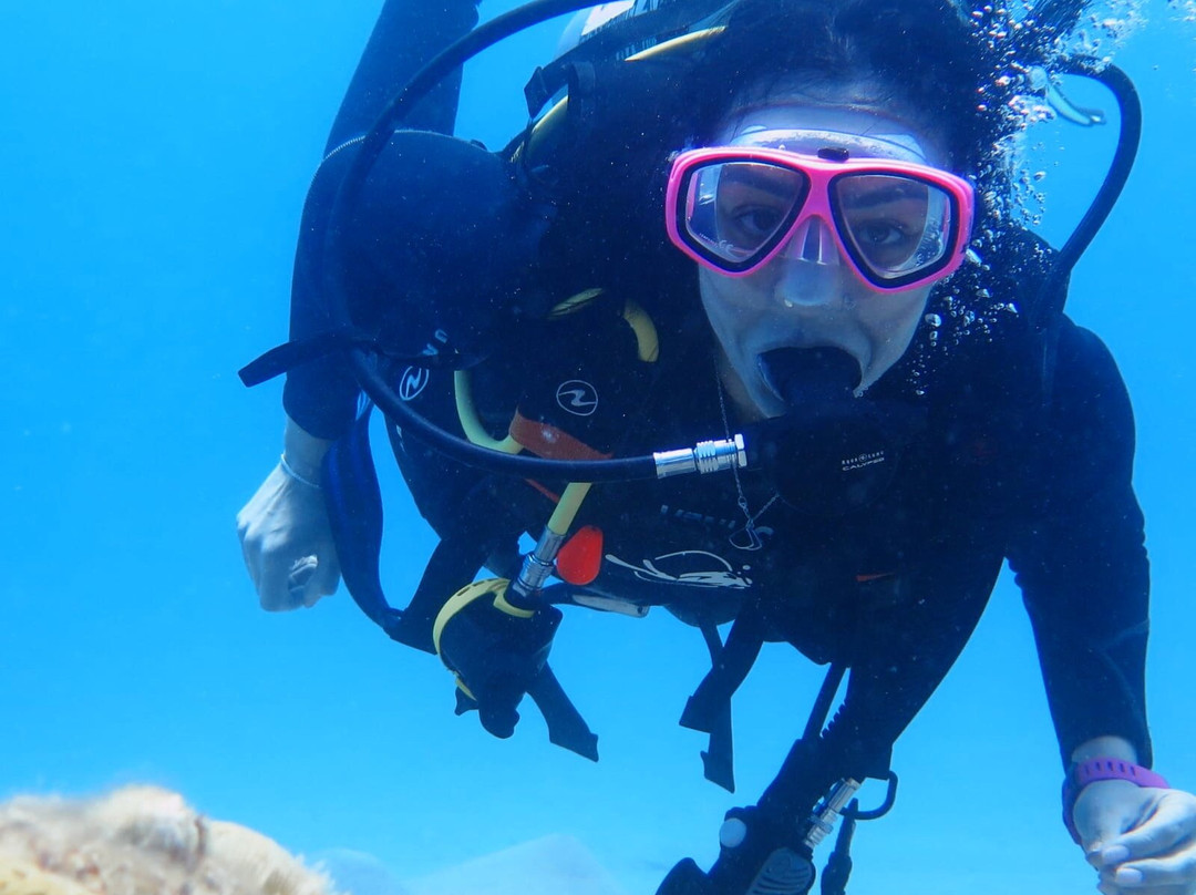 Venus Diving Center-努威巴必去景点