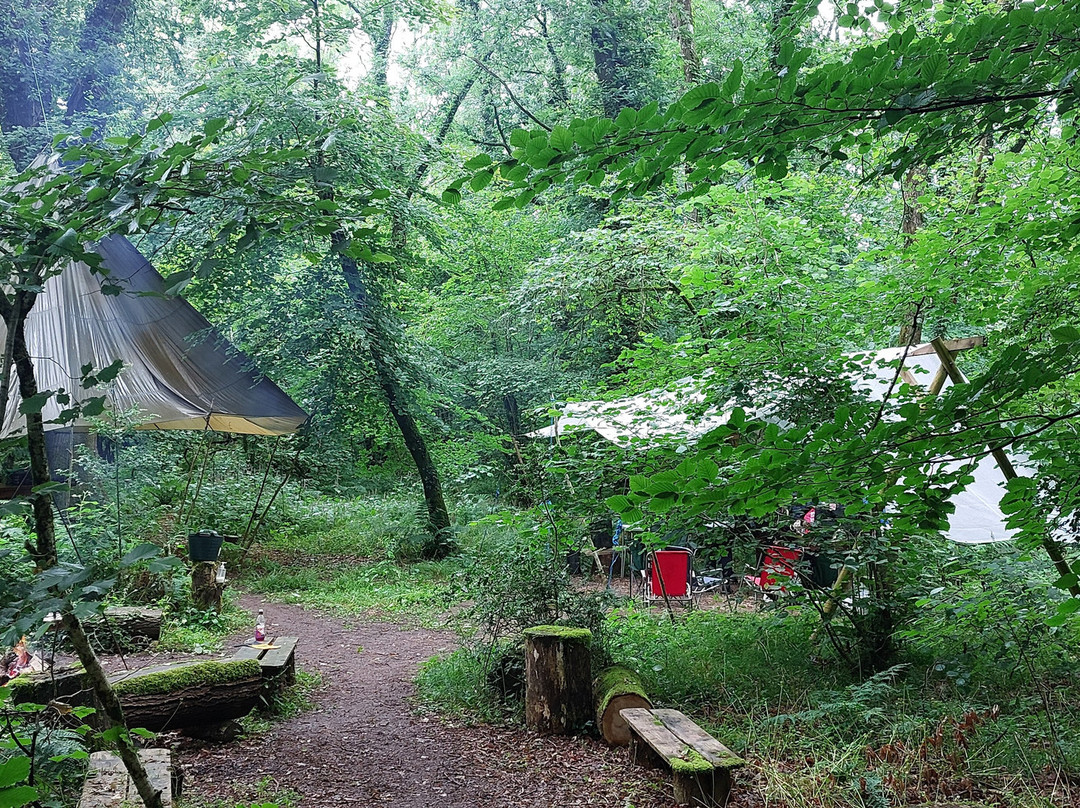 Basic Bushcraft景点图片