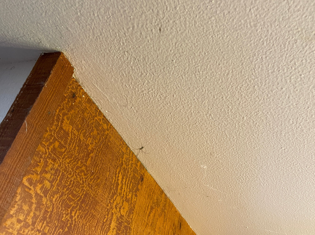 Alta Sierra Village Inn主图