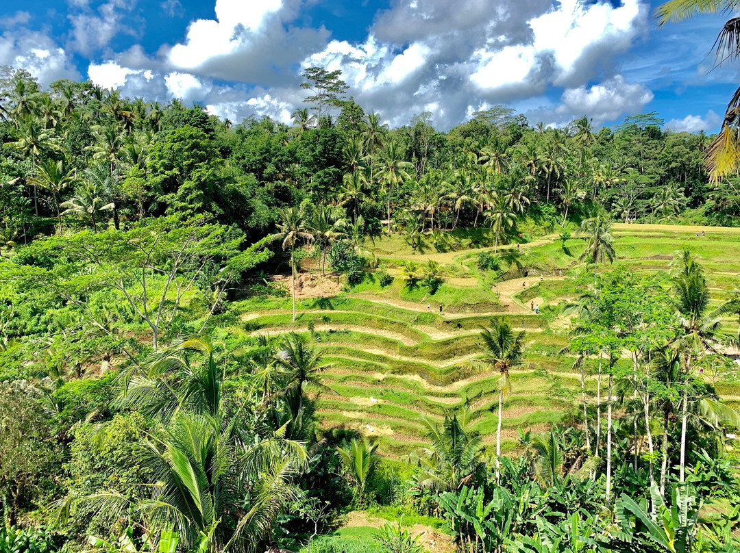 Tulamben Transport Paradise-库布必去景点
