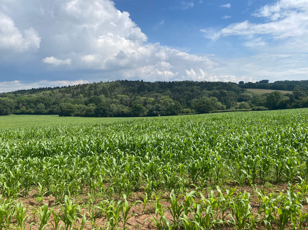The Glamorgan History Walks