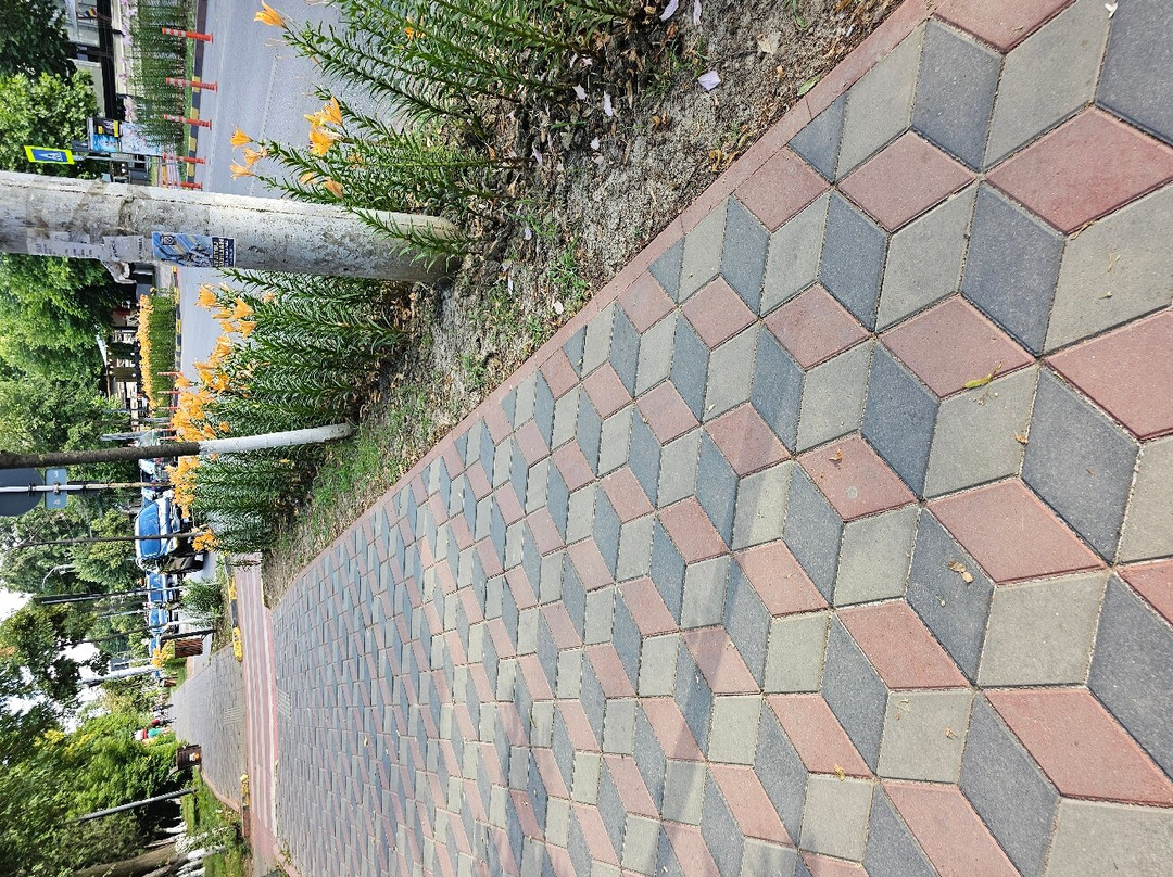 丽城酒店主图