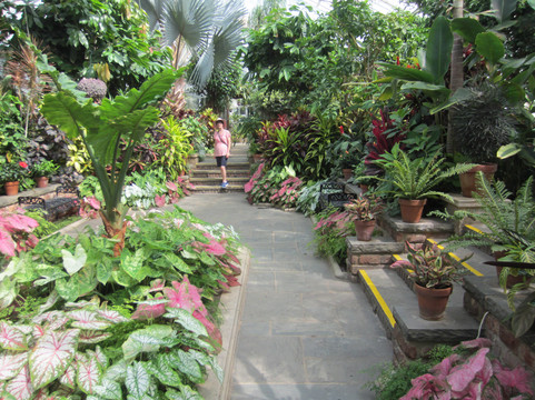 Planting Fields Arboretum State Historic Park-奥伊斯特贝必去景点