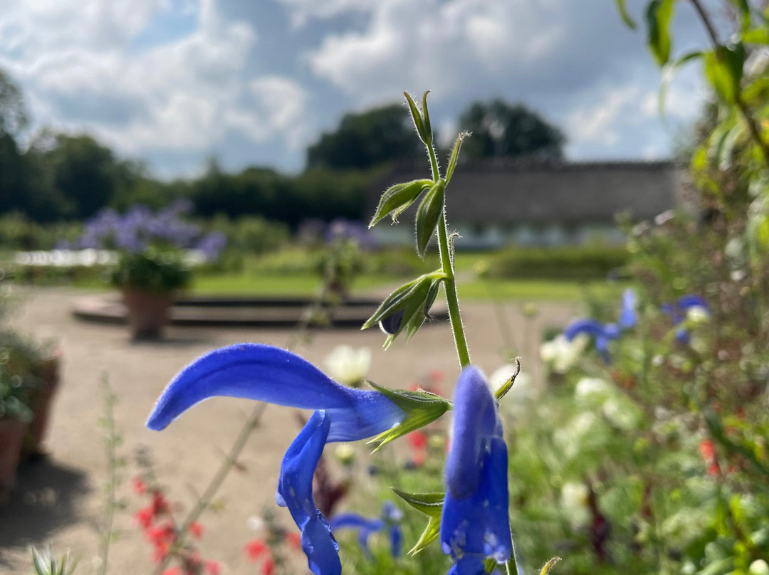 Den Kongelige Køkkenhave ved Gråsten Slot景点图片