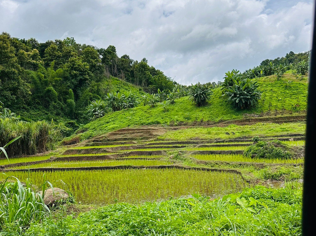 Chiang Rai UTV adventure tours-清莱必去景点