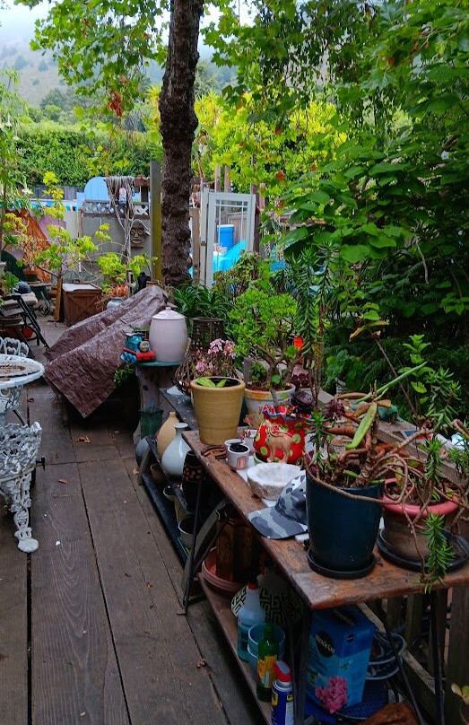 Redwoods Haus Bed and Breakfast主图