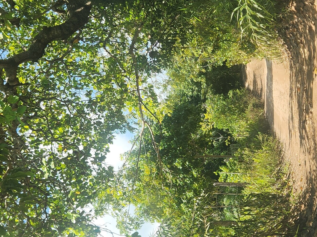 Algodoes Beach-Barra Grande必去景点