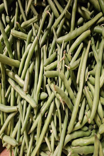 Gatewood Vegetable Farm & Greenhouses, Inc.-Noblesville必去景点