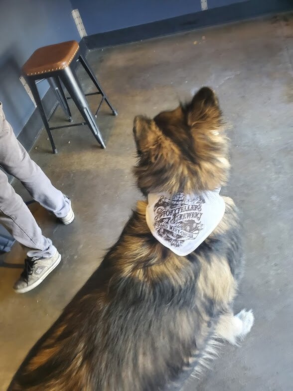 Storytellers Brewery & Meet House-科罗纳必去景点