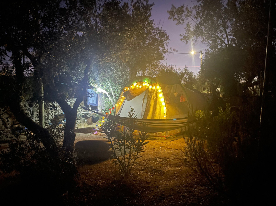 Camping Asseiceira