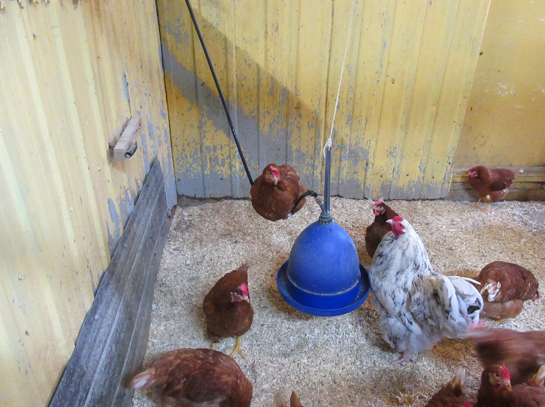 Ferme 5 Étoiles-Sacré-Coeur-Saguenay必去景点