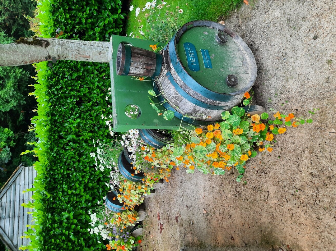 Biblical Garden Elgin-埃尔金必去景点