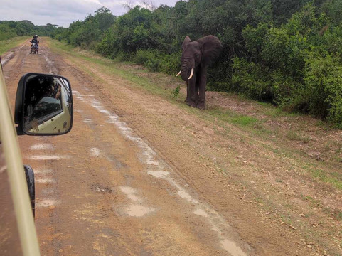 Exclusive Uganda Safaris-坎帕拉必去景点
