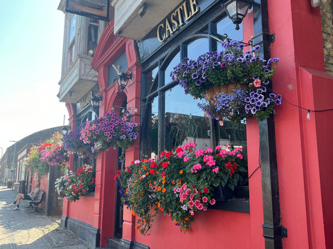 Walmer Castle-迪奥必去景点