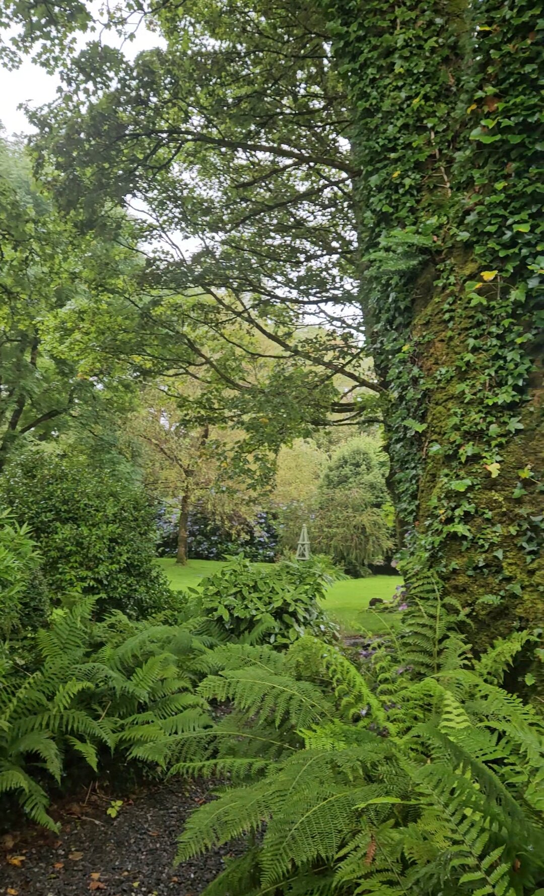 Mossie's-酒店景观