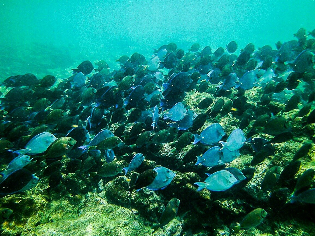 Steps Beach-吕康必去景点